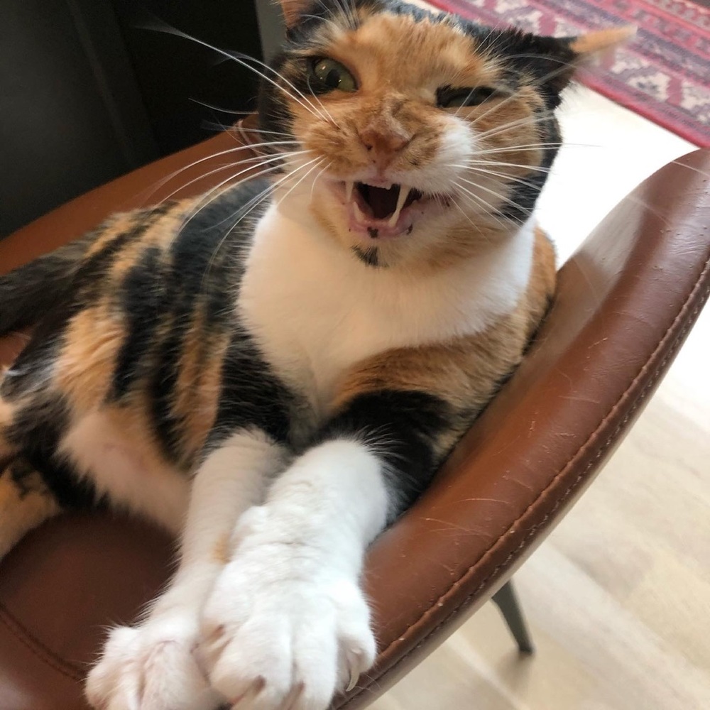 👹